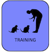 A Cattery in Spain that offers Cat training facilities or schools 